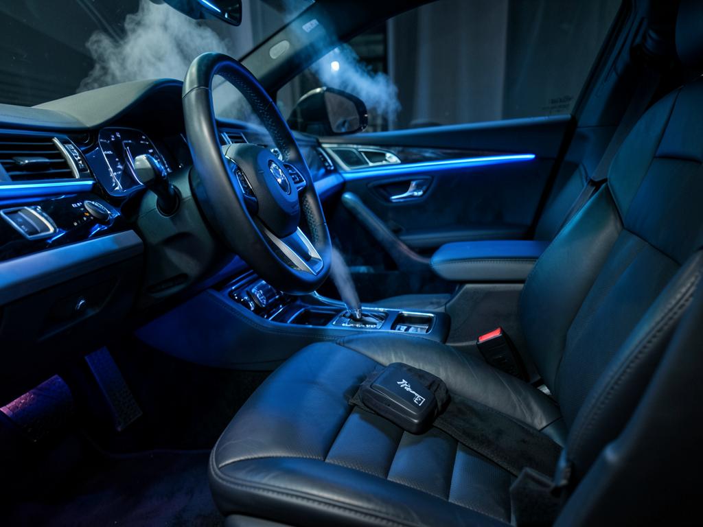 Interior Steam Detail